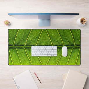 Feuille verte