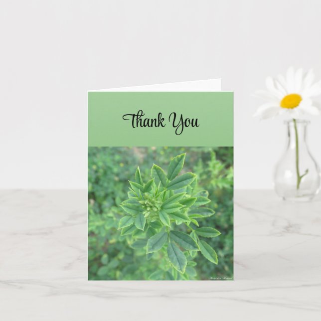 Feuille verte - Carte de remerciements (Petite plante)
