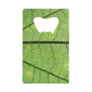 Feuille verte extrême