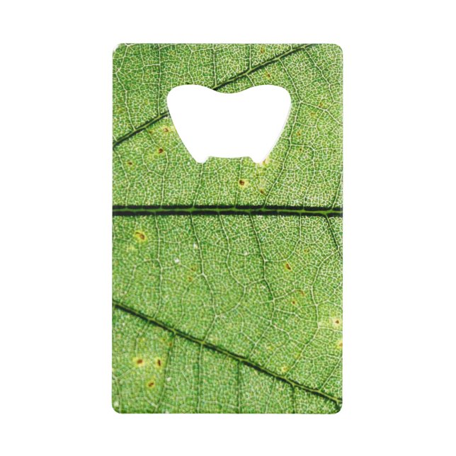 Feuille verte extrême (Devant)