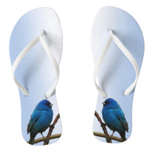 Feuilles à tongs Indigo