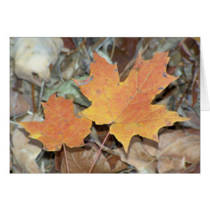Feuilles automnales