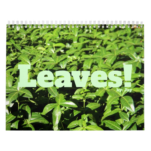 FEUILLES ! Calendrier (Protection)