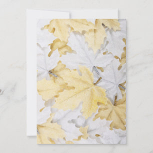 Feuilles d'automne