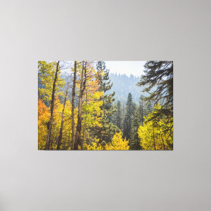 Feuilles d'automne au lac Tahoe en toile étirée