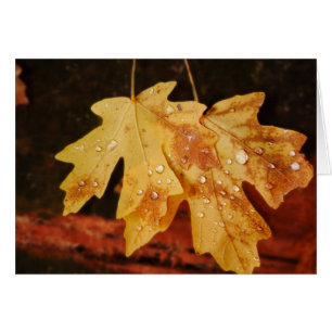 Feuilles d'automne avec gouttes de pluie, vierge à