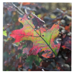 Feuilles d'automne Carreaux céramiques