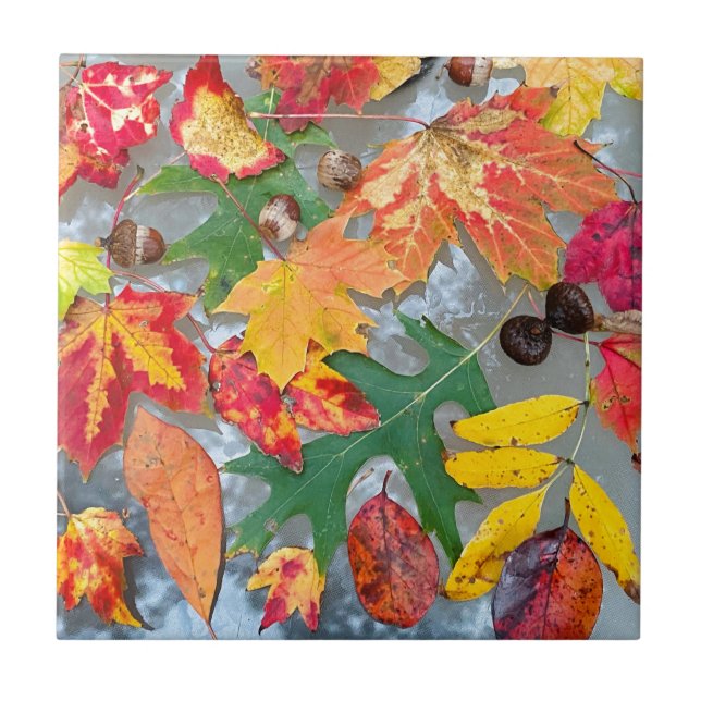 Feuilles d'automne Carreaux en céramique (Devant)