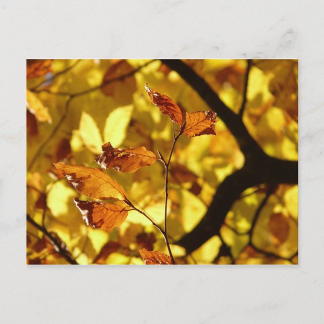 Feuilles d'automne carte postale moutarde jaune (Devant)