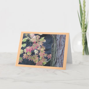 Feuilles d'automne Cartes de voeux