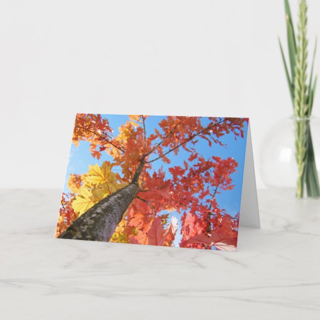 Feuilles d'automne Cartes de voeux Colorful Arbre  (Devant)