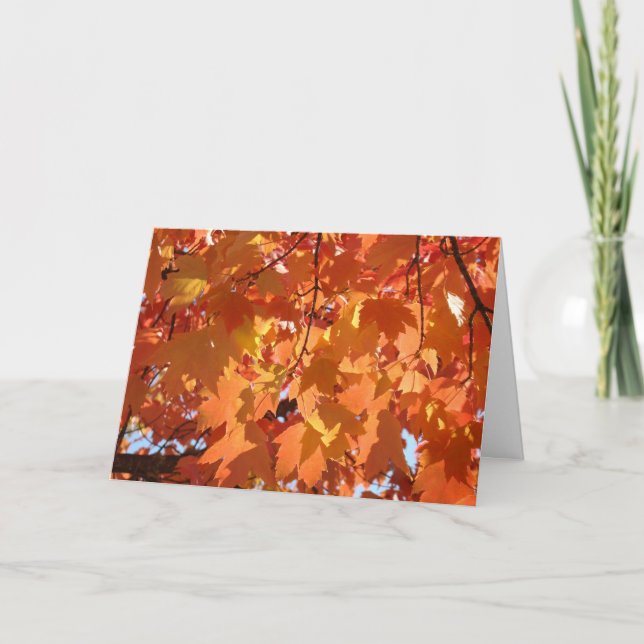 Feuilles d'automne Cartes de voeux personnalisées  (Devant)