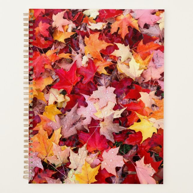 Feuilles d'automne colorées (Devant)