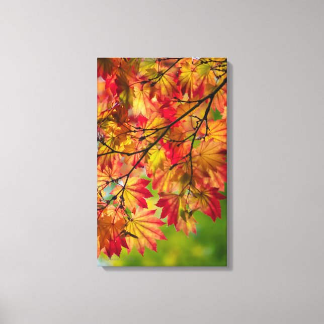 Feuilles d'automne colorées sur toile (Recto)