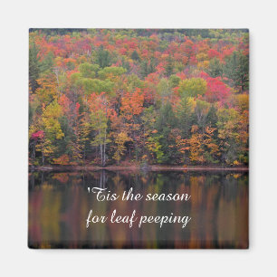 Feuilles d'automne Couleur d'automne Magnet