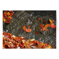 Feuilles d'automne dans la cascade I Photographie