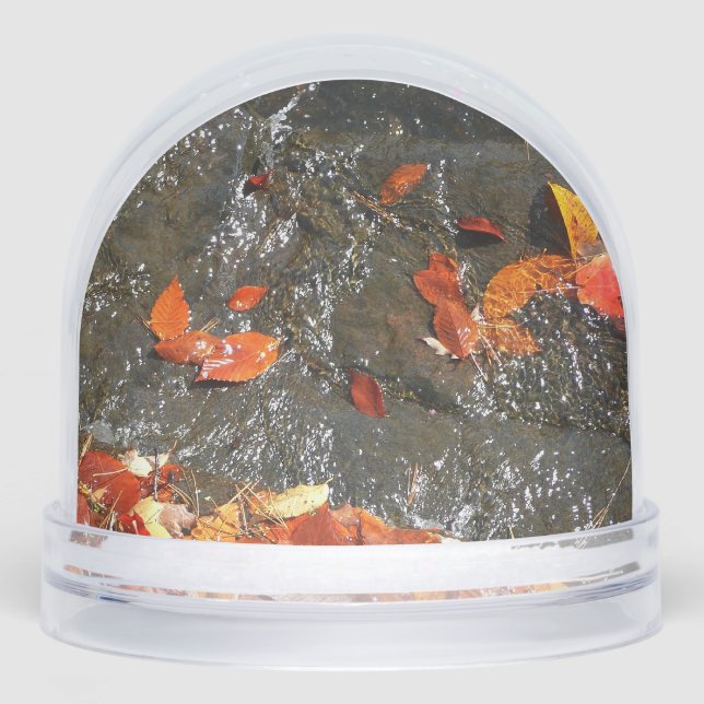 Feuilles d'automne dans la cascade I Photographie  (Avant)