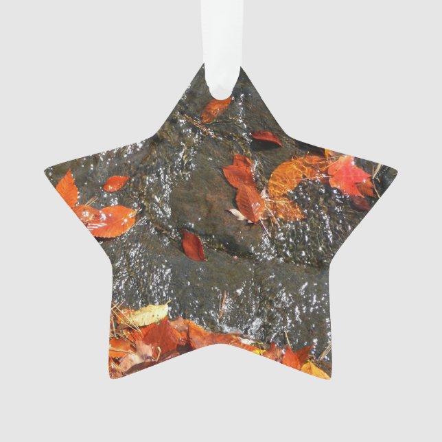 Feuilles d'automne dans la cascade I Photographie  (devant)