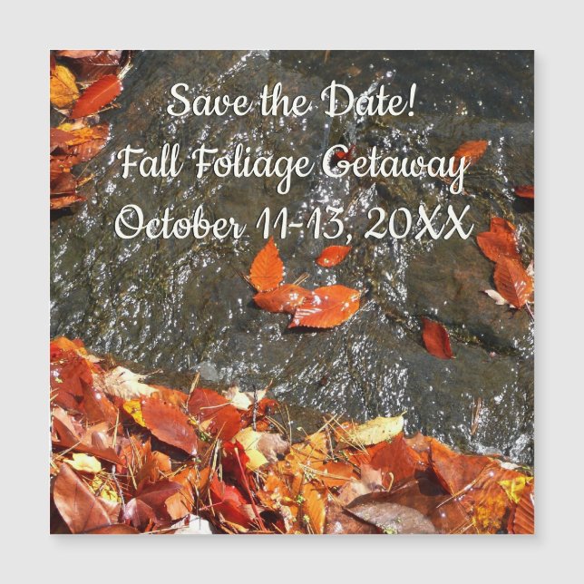 Feuilles d'automne dans la cascade I Photographie  (Devant)