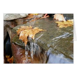 Feuilles d'automne dans la cascade II Photographie