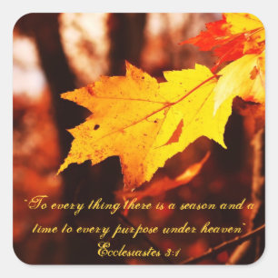 Feuilles d'automne dans les autocollants Poconos