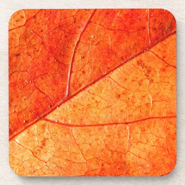 Feuilles d'automne Dessous de verre en plastique d (Devant)