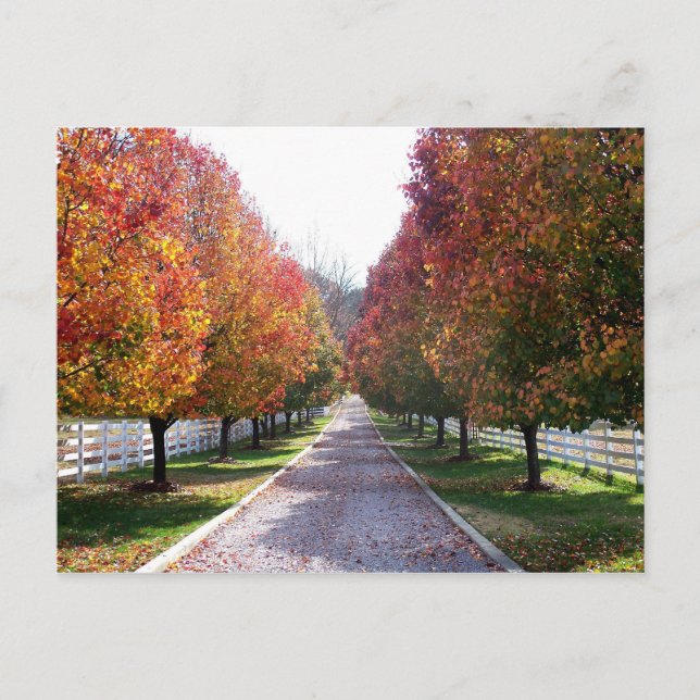 Feuilles d'automne en Virginie Carte postale Glen  (Devant)