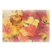 Feuilles d'automne Enveloppement Papier Papier Pla