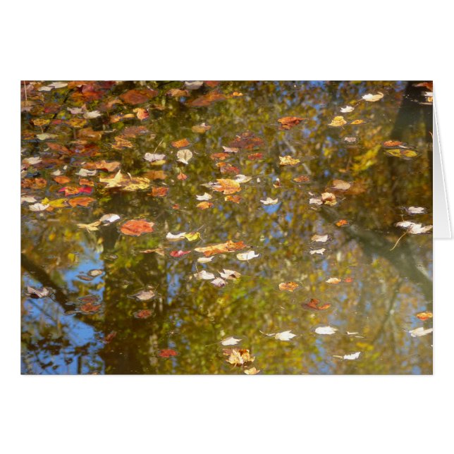 Feuilles d'automne et réflexion sur le cours d'eau (Devant horizontal)