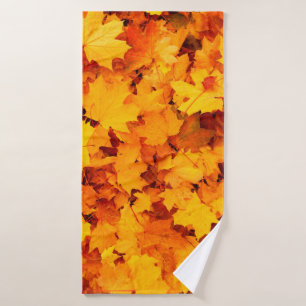 Feuilles d'automne feuillage feuilles d'automne