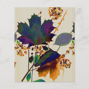 Feuilles d'automne Feuilles de papier de couleurs