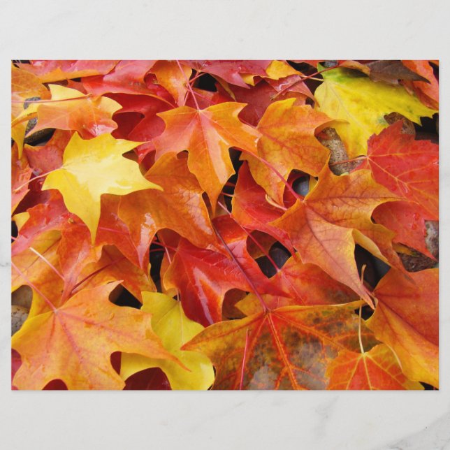 Feuilles d'automne Feuilles de scrapbooking papier (Devant)