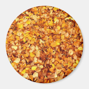 Feuilles d'automne grand aimant rond