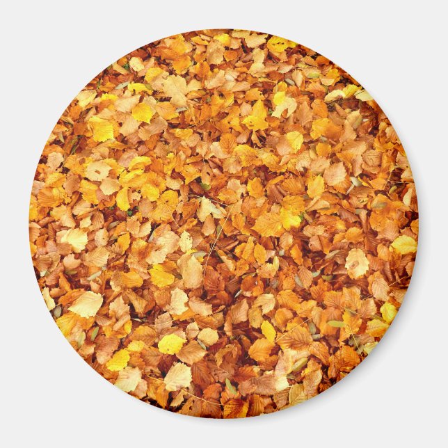 Feuilles d'automne grand aimant rond (Devant)