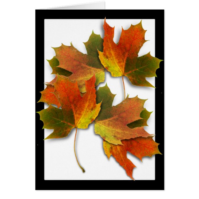 Feuilles D'Automne Orange Et Doré (Devant)