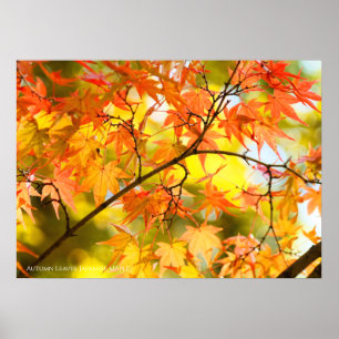 Feuilles d'automne [Papier affiche de valeur]