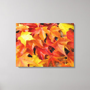 Feuilles d'automne Photographie colorée Impression