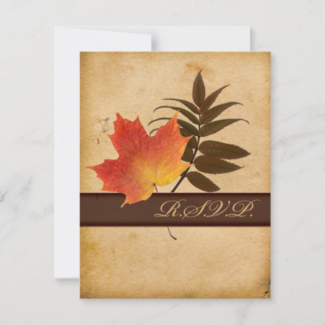 Feuilles d'automne sur papier vieilli - Carte répo (Devant)