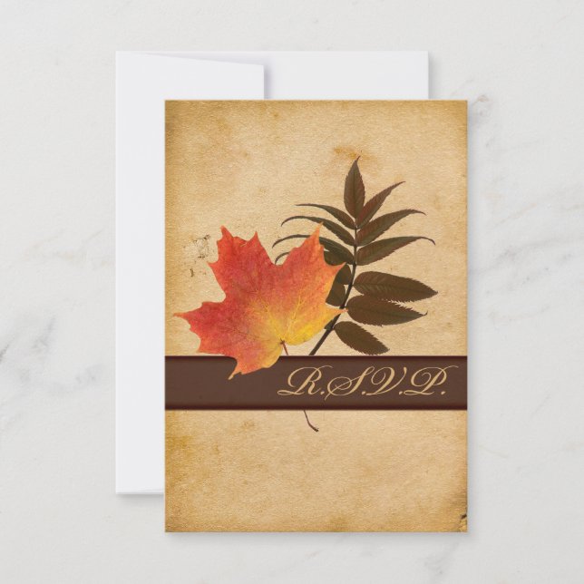 Feuilles d'automne sur papier vieilli - Carte répo (Devant)