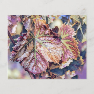 Feuilles de automne colorées avec aquarelle de cou