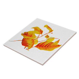 Feuilles de bois de chien sur carreaux en céramiqu