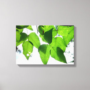 Feuilles de bouleau brillant toile étirée