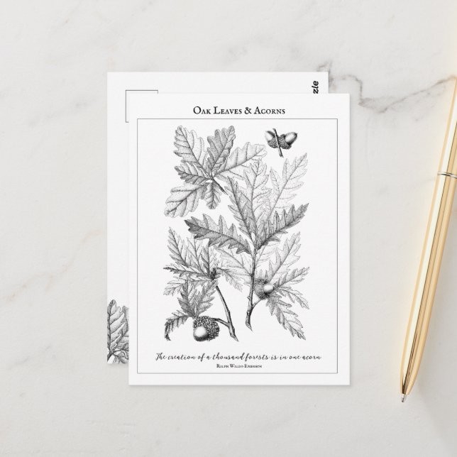 Feuilles de chêne et Acorns Carte postale personna (Devant/Arrière en situation)