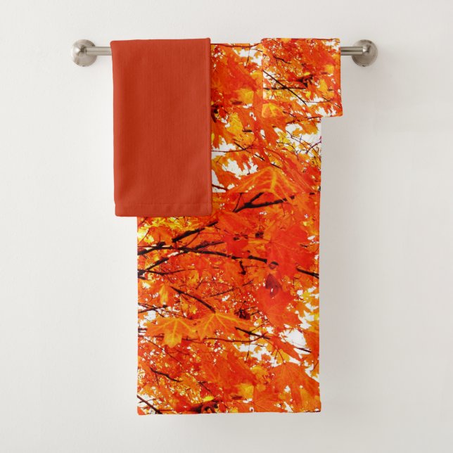 Feuilles de érable orange Saison Automne  (En situation)