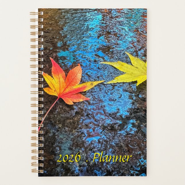 Feuilles de érable tombées rouges et jaunes vibran (Devant)