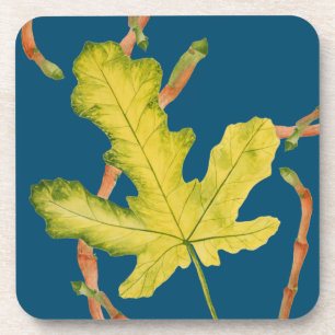 Feuilles de fig sur un jeu de Dessous de verre 6