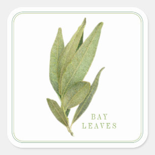 FEUILLES DE LAURIER FRAÎCHES Autocollants Carrés G