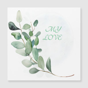 Feuilles de l'Eucalyptus vert