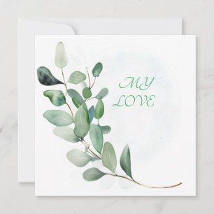 Feuilles de l'Eucalyptus vert