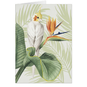Feuilles de palmiers à oiseaux blancs